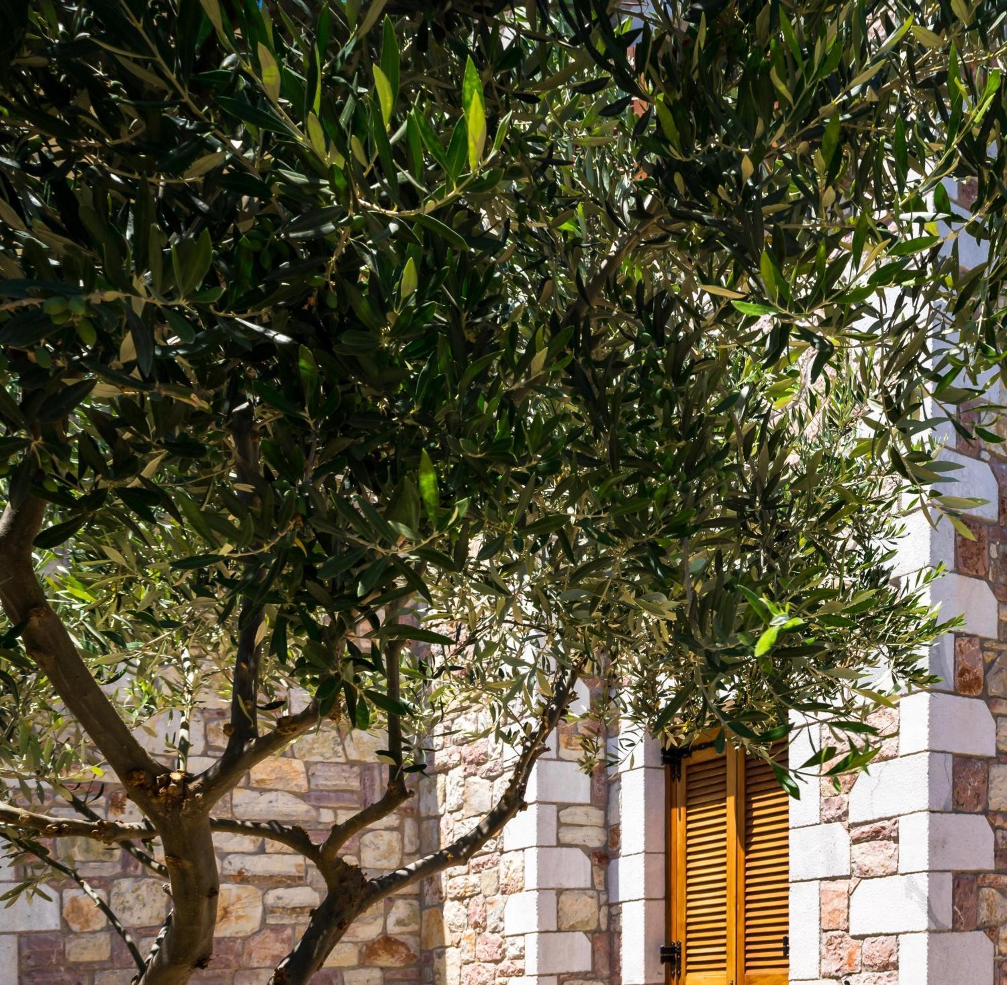 Liokrina Country Living Villas & Suites Koróni Εξωτερικό φωτογραφία